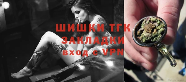 ГАЛЛЮЦИНОГЕННЫЕ ГРИБЫ Аркадак